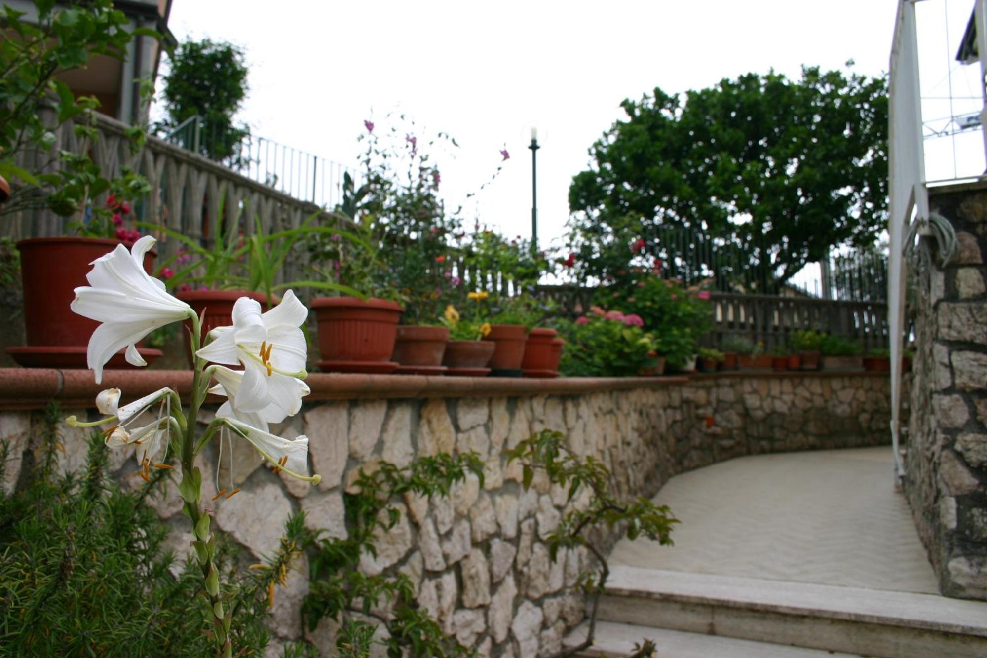B&B La Baia Di Fiascherino Citr01101Sei-Beb-0011 特拉罗 外观 照片